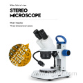 Research Stereo Microscope with Adjustable LED Light